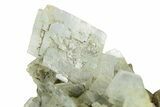 Blue Bladed Barite on Pyrite - Morocco #261664-2